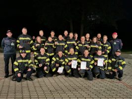 Branddienstleistungsabzeichen in Bronze & Silber
